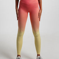 Legging Ombré Push Up Taille Haute | Yogaova