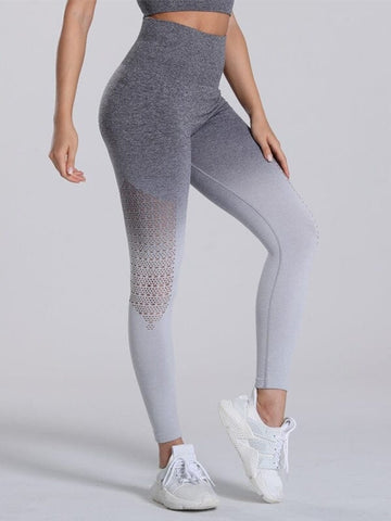 Legging Sport Dégradé Sans Couture | Yogaova