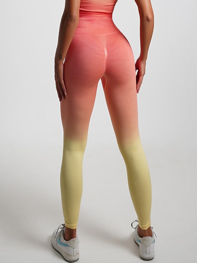 Legging Ombré Push Up Taille Haute | Yogaova