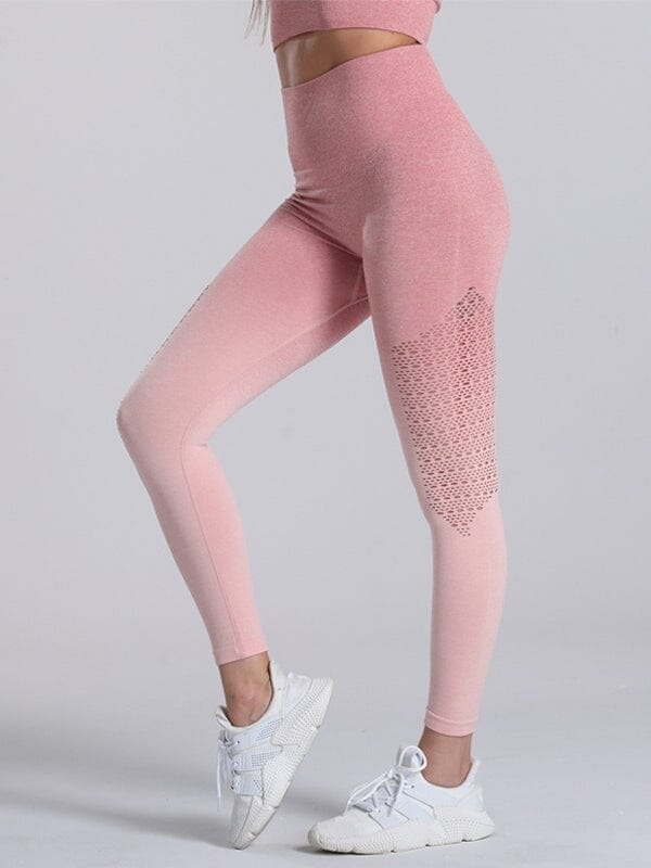 Legging Sport Dégradé Sans Couture | Yogaova