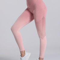 Legging Sport Dégradé Sans Couture | Yogaova