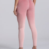 Legging Sport Dégradé Sans Couture | Yogaova