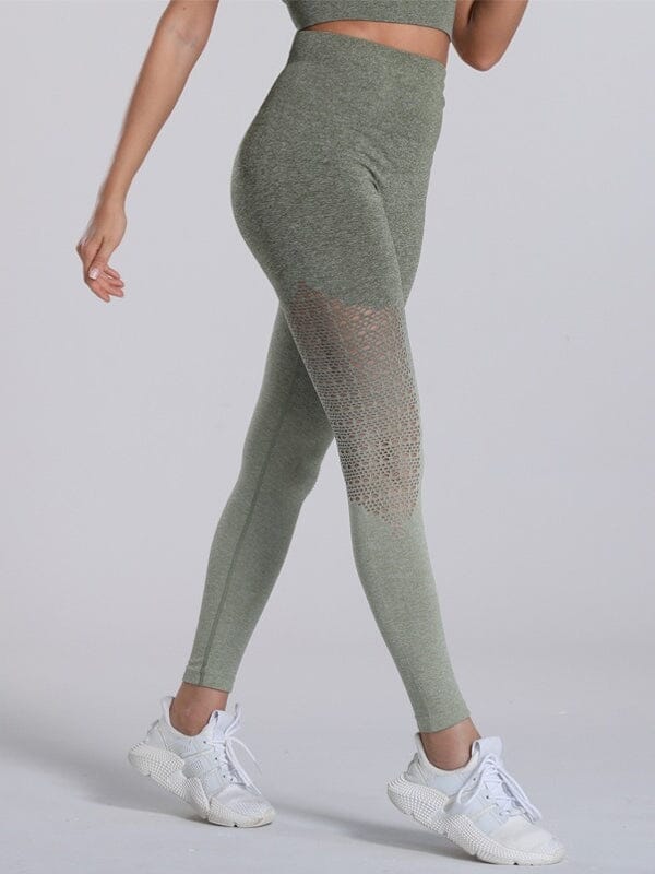 Legging Sport Dégradé Sans Couture | Yogaova