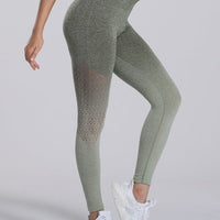 Legging Sport Dégradé Sans Couture | Yogaova