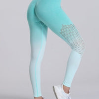 Legging Sport Dégradé Sans Couture | Yogaova