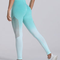 Legging Sport Dégradé Sans Couture | Yogaova