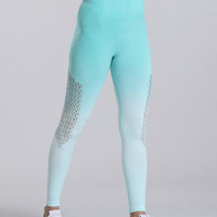 Legging Sport Dégradé Sans Couture | Yogaova