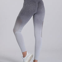 Legging Sport Dégradé Sans Couture | Yogaova