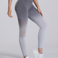 Legging Sport Dégradé Sans Couture | Yogaova